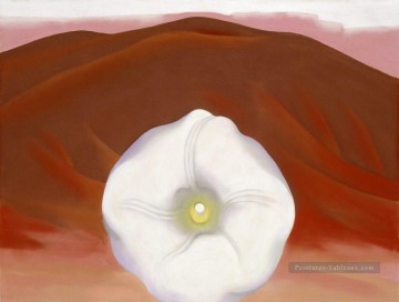  low - collines rouges et fleur blanche Géorgie Okeeffe modernisme américain Precisionism